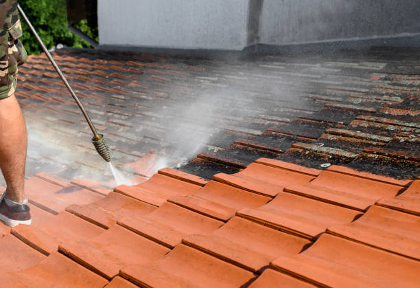 Best Roof Pressure Washing  in Davis, OK