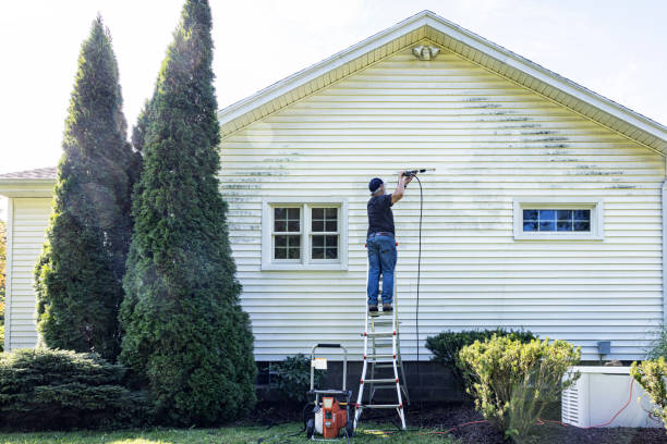 Best Local Pressure Washing Services  in Davis, OK